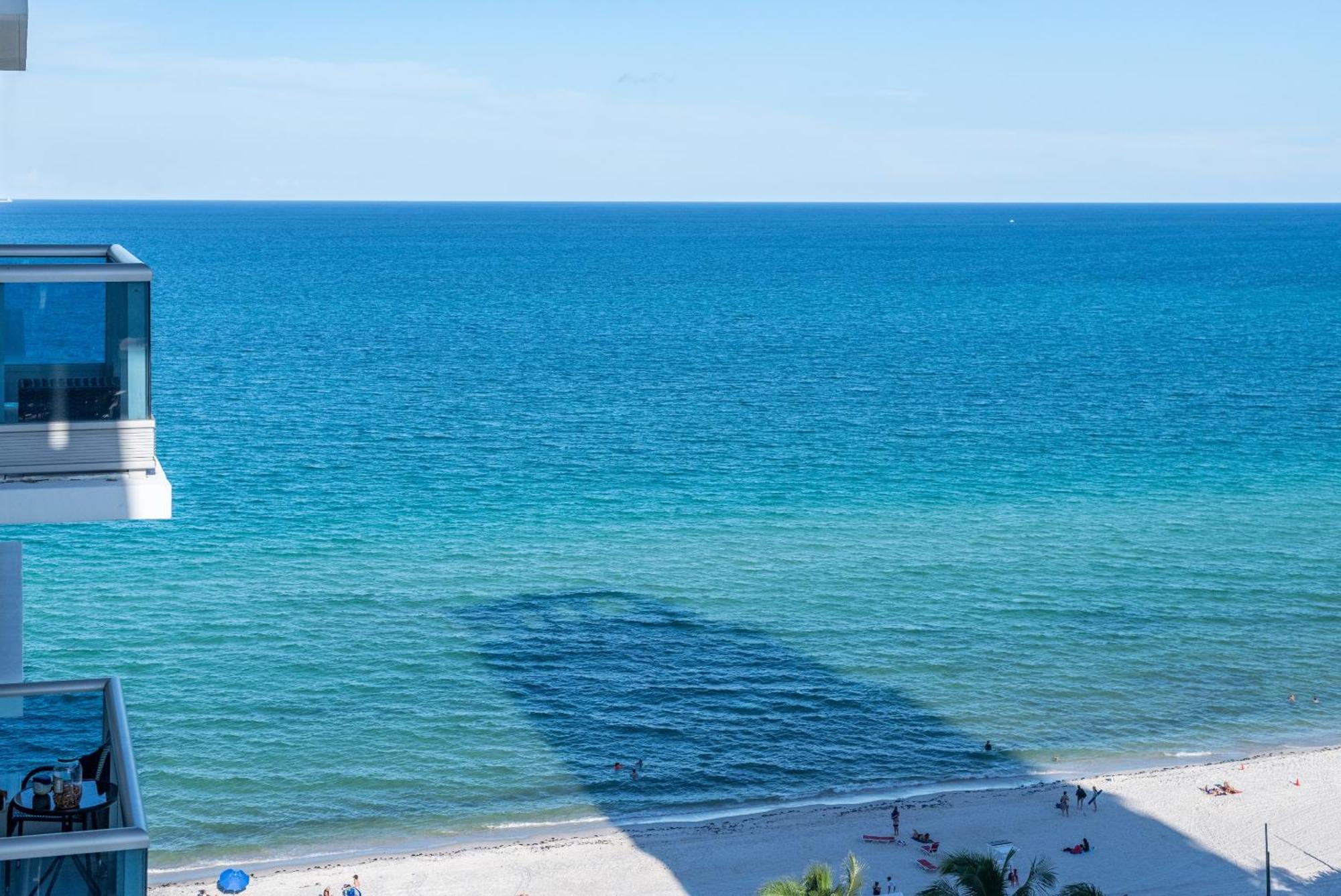 Bluebird Suites Monte Carlo Miami Beach Cameră foto